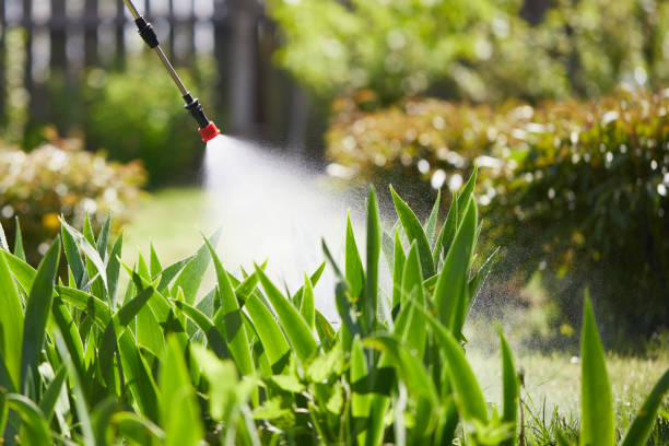 24/7 Emergency Cockroach Control experts in Newcomerstown, OH